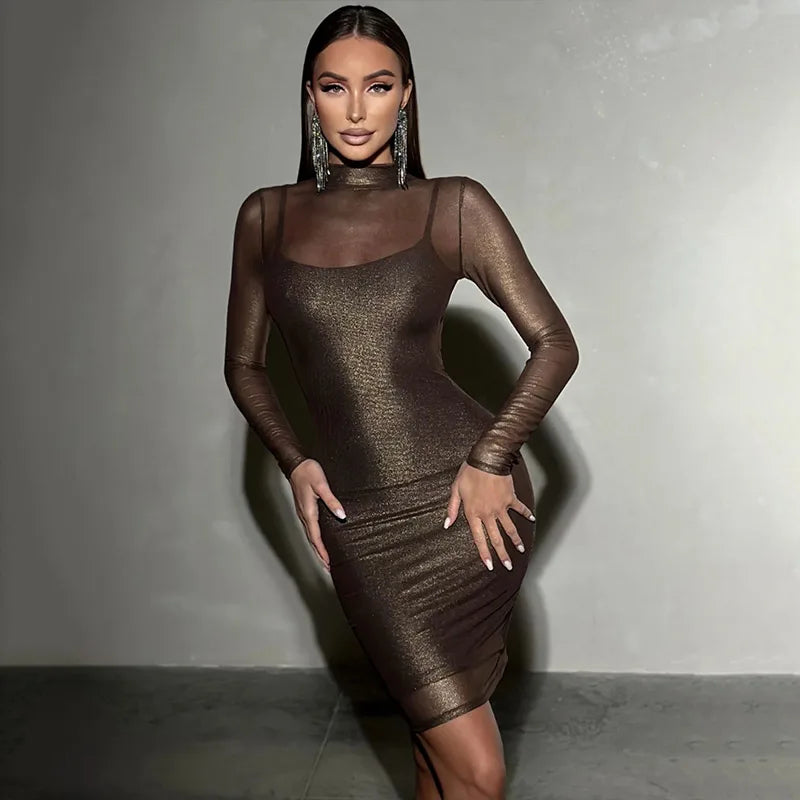 Mesh Dresses For Women Fashion Sexy Clubwear Long Sleeves Turtleneck Skinny See Through Hip Wrap Mini Vestidos Robes Female Fit